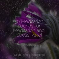 Tea and Zen - Relaxing Mindfulness Meditation Relaxation Maestro & Music to Relax in Free Time & Yoga Workout Music