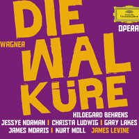 Wagner: Die Walküre - Erster Tag des Bühnenfestspiels "Der Ring des Nibelungen" / Erster Aufzug - O süsseste Wonne! Seligstes Weib! - Gary Lakes & Jessye Norman & Metropolitan Opera Orchestra & James Levine