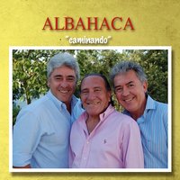 Caminando Con Sevilla - Albahaca