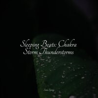 Droplets - Spa Zen & Zona Música Relaxante & Sonido de lluvia