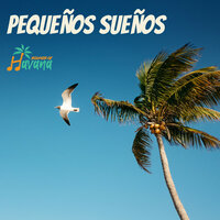 Soy tu tipo - Sounds of Havana