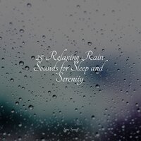 Creek, Waterflow, Stream - Rain Sounds Factory STHLM & Meditation Music Club & Rain for Deep Sleep