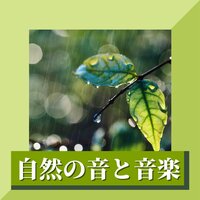 大人の睡眠誘導音楽 - すべて自然