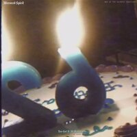 Truth seeker - Mirrored Spirit