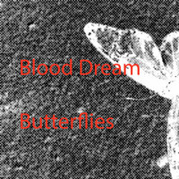 The Day is Over - Blood Dream