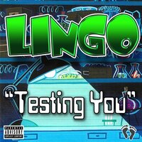 Testing You - Lingo