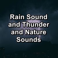 White Noise Rain and Thunder For Spa and Relaxation To Relax and Loop for 8 Hours - Thunder Sounds & Thunder Storm & Thunderstorms