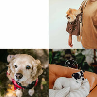 Ambience (Dog De-Stressing) - Dog Relaxation Music