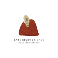 We Are OK - Late Night Friends