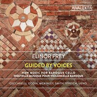 guided by voices - Elinor Frey