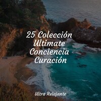 Canciones De Cuna - Relajación Meditar Academie & Natureza & Musica Para Dormir Profundamente