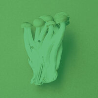 Sublime Ambiance for Mornings - Calm Guitar Music Radio