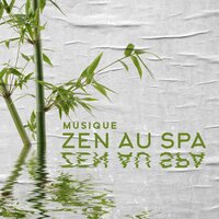Musique de méditation - Oasis de Musique Zen Spa