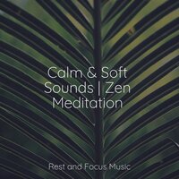 Take a Chance - Musique Zen Garden & Sleeping Baby Songs & Yoga Soul