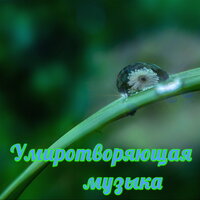 Космическая мечта - Александр Кэтлин