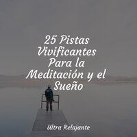 Divagando En Claridad - Música para Dormir Con Relajantes Sonidos de la Naturaleza & Sons da Natureza & Musica Para Meditar y Relajarse