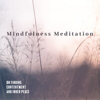 Serenity Of The Heart - Zen Meditation Music Academy
