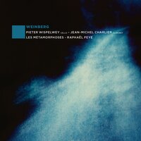 Cello Concertino, Op. 43bis: I. Adagio - Les Métamorphoses & Raphaël Feye & Pieter Wispelwey