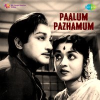 Paalum Pazhamum - T. M. Soundararajan