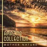 Gentle Ambient Music - Calming Sounds Sanctuary
