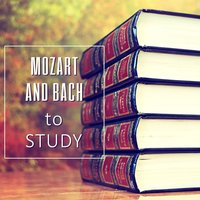 String Quartet No. 12 in E-Flat Major, Op. 127: II. Adagio ma non troppo e molto cantabile - Classical Study Music Ensemble & Ludwig van Beethoven