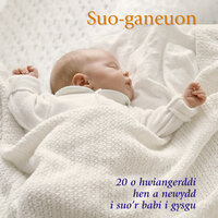 Hwiangerdd O Gorsica - Dafydd Iwan