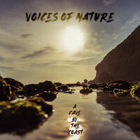 16th Wave - a Cave by the Coast - Voices of Nature