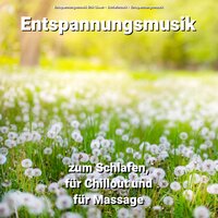 Meditieren für mein Glück - Entspannungsmusik Erik Lisen & Schlafmusik & Entspannungsmusik