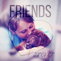 Comfort Lap Dog - Relaxing Music Zone