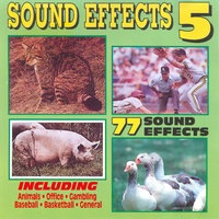 Pneumatic Drill - SFX Connection