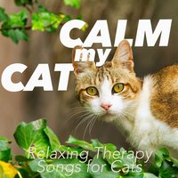 Dream Away All Day - Cat Music Dreams & RelaxMyCat & Cat Music Therapy