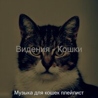 Видения (Сонные кошки) - Музыка для кошек