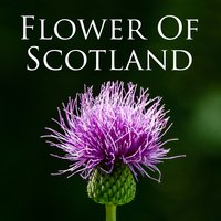 Highland Wedding - Ballycastle Players
