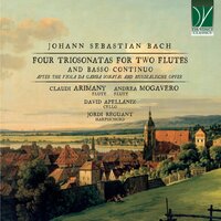 Sonata No. 3 in G Minor, BWV 1029: I. Vivace - Claudi Arimany & Andrea Mogavero & David Apellaniz & Jordi Reguant & Johann Sebastian Bach
