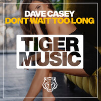 Dont Wait Too Long - Dave Casey