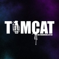 Scatterbrain - Tomcat