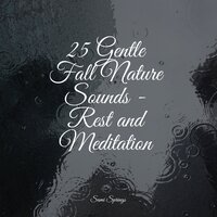 Boats by the Shore - Thunder and Rain Storm & Relaxamento & Internal Yoga