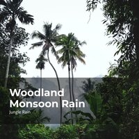 Woodland Rain Dew - Nature and Rain & Deep Rain Sampling & Jungle Rain