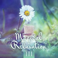Bliss Inside - Relaxing Music Oasis