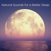 Meditation With Nature Sounds - Soothing Melodies Ensemble