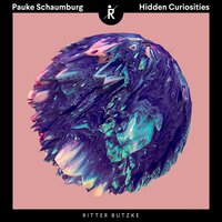 Hidden Curiosities - Pauke Schaumburg