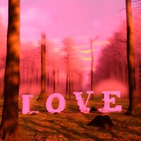 Love - Brace