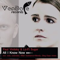 All I Know Now - Paul Vinitsky & Lo-Fi Sugar