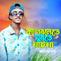 Kasbonete Ghurte Jaiya - Md Asad RpR & Bangla Music 007