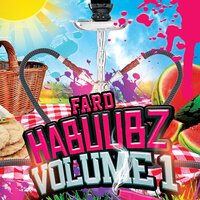 Du bist anders - Fard & Ardian Bujupi