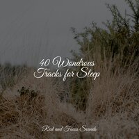 Gentle Beaches - Academia de Meditação Buddha & Pro Sound Effects Library & Sleep Music