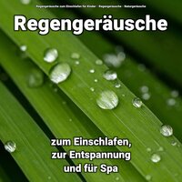 Regen zur Entspannung - Regengeräusche zum Einschlafen für Kinder & Regengeräusche & Naturgeräusche