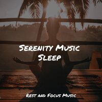 Peaceful Mind - mindfulness meditation world & Binaural Beats Isochronic Tones Lab & Life Sounds Nature