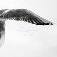 Som modré more - Longital