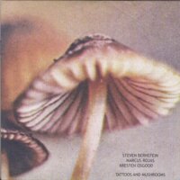 Prince Of Night - Steven Bernstein & Marcus Rojas & Kresten Osgood